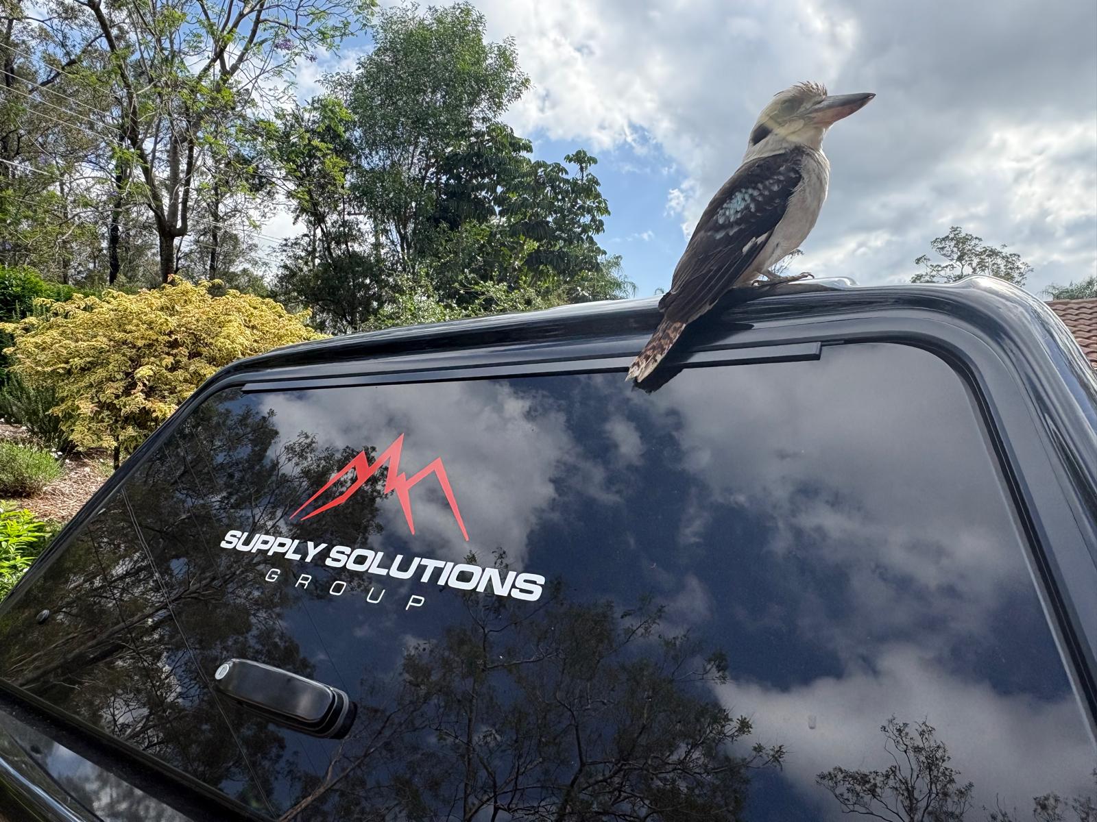 New Brisbane Branch Opening 24 November!