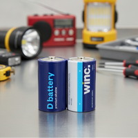 Battery D Premium Alkaline WINC Pack of 2