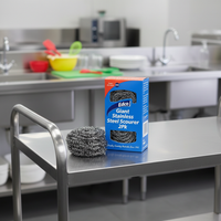 Edco Stainless Steel Scourer 2 Pack