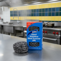 Edco Stainless Steel Scourer 2 Pack