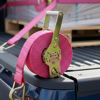 LINQ Pink Ratchet Tie Down Strap 50mmx9m 2.5T – RTDJ509-P