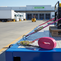 LINQ Pink Ratchet Tie Down Strap 50mmx9m 2.5T – RTDJ509-P