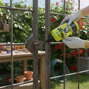 Oil Penetrating Lubricant Hammersley The good Oil 500ML