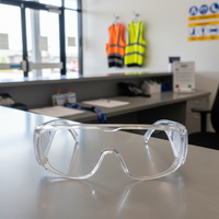 Pro Choice Visitors Safety Glasses – Box of 12 -3000