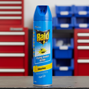 Raid Pest Odourless Flying Insect Spray Killer 350g Pack of 3 (Business Delivery Only)