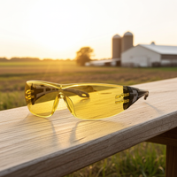 Safety Glasses ProChoice The General Amber Lens Box of 6 - 6405