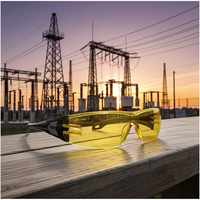 Safety Glasses ProChoice The General Amber Lens Box of 6 - 6405