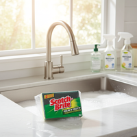 Scourer Sponge 3M Scotch-Brite Heavy Duty Pack 2