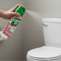 Disinfectant Spray Dettol Glen 20 Berry Breeze 300g Pack of 4 | Supply Solutions Group